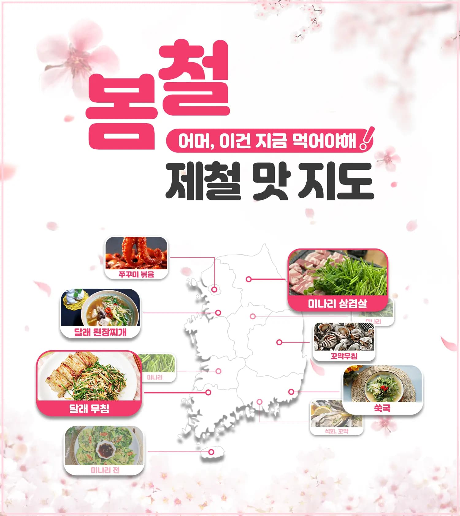 뉴스레터