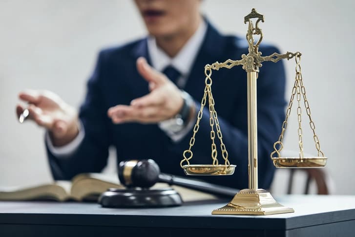 손해배상전문변호사 변론에 손해배상 청구금액 전액 인용