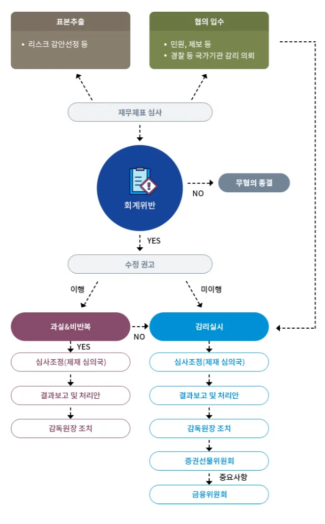 회계감리 절차 및 방식 금융감독원