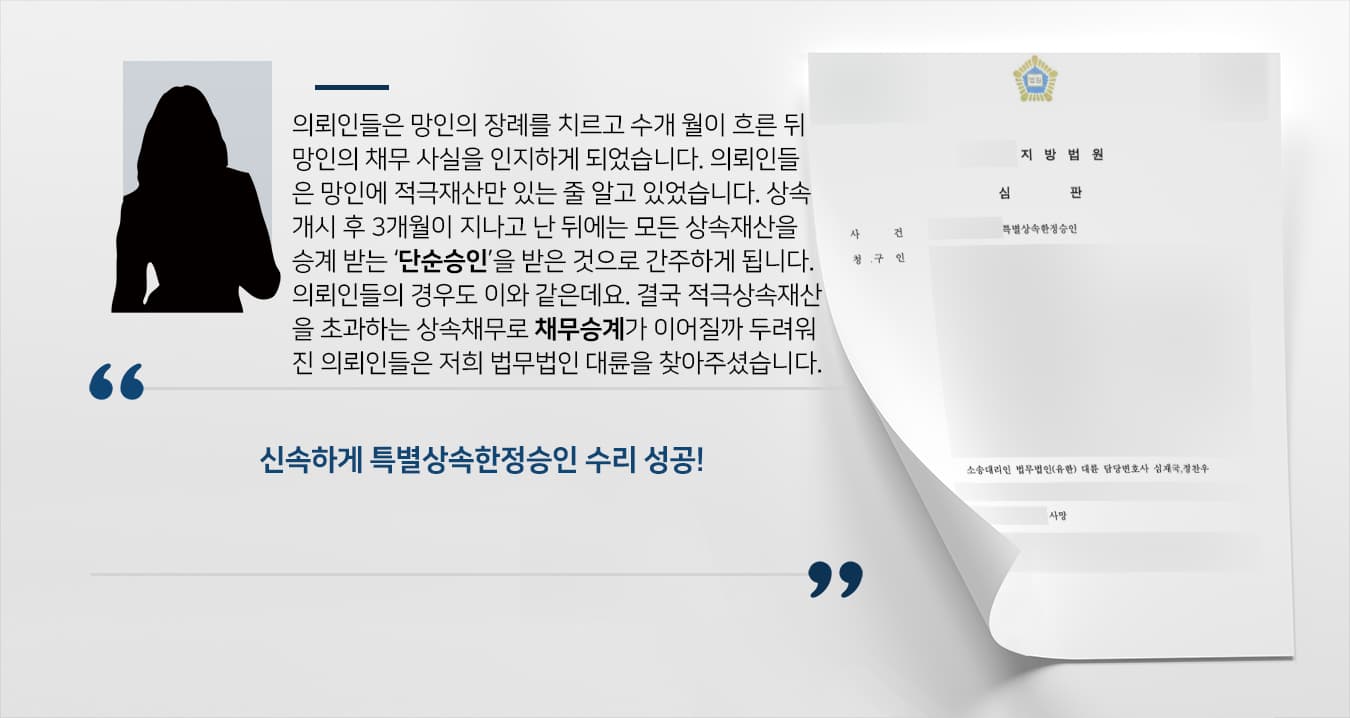 특별상속한정승인
