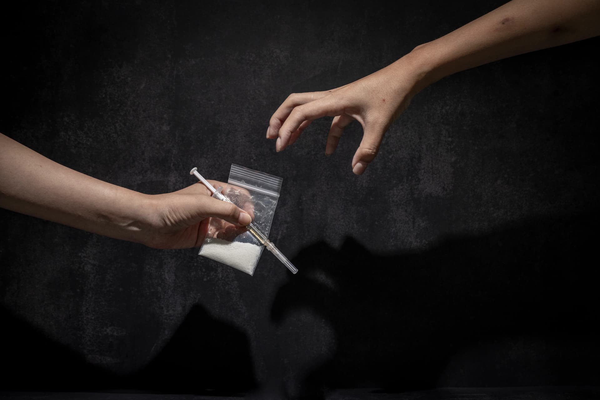 마약처벌 방어 조력 사항 마련