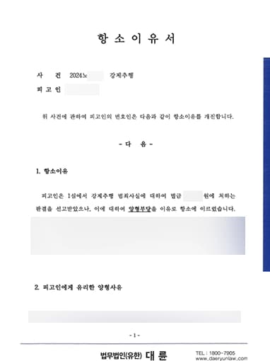 법무법인 대륜에서 작성한 항소이유서