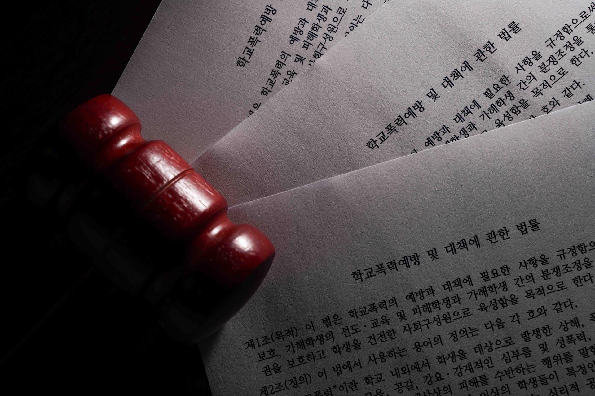 학교폭력가해자대학