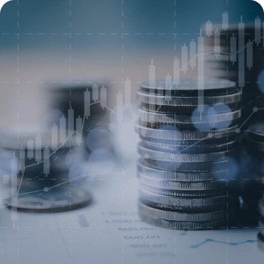 Finance & Insurance