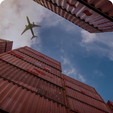 Customs & International Trade